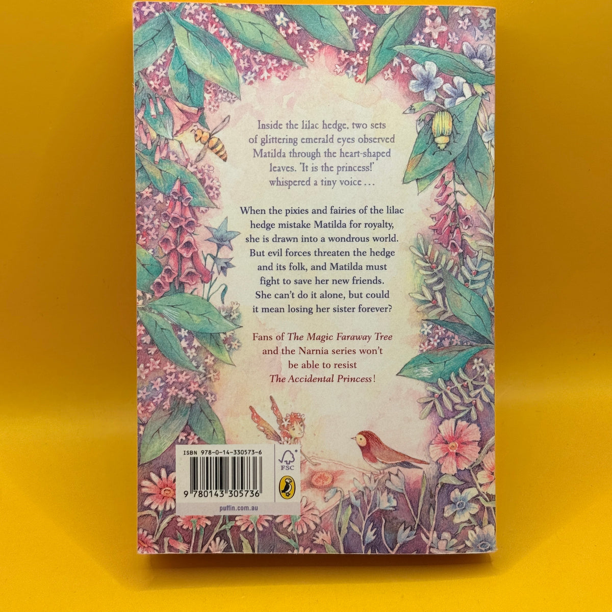 The Accidental Princess by Jen Storer