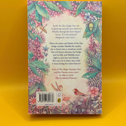 The Accidental Princess by Jen Storer