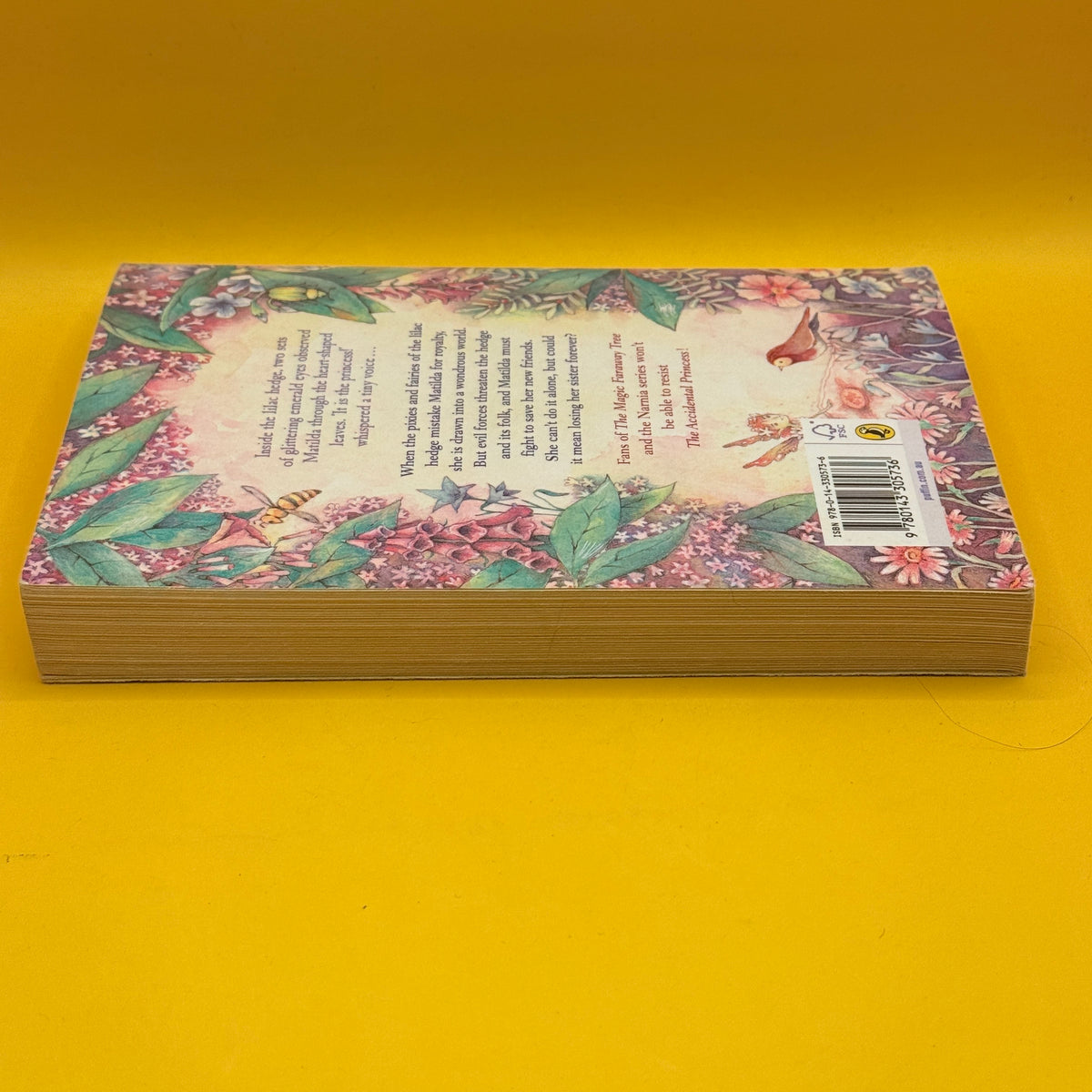 The Accidental Princess by Jen Storer
