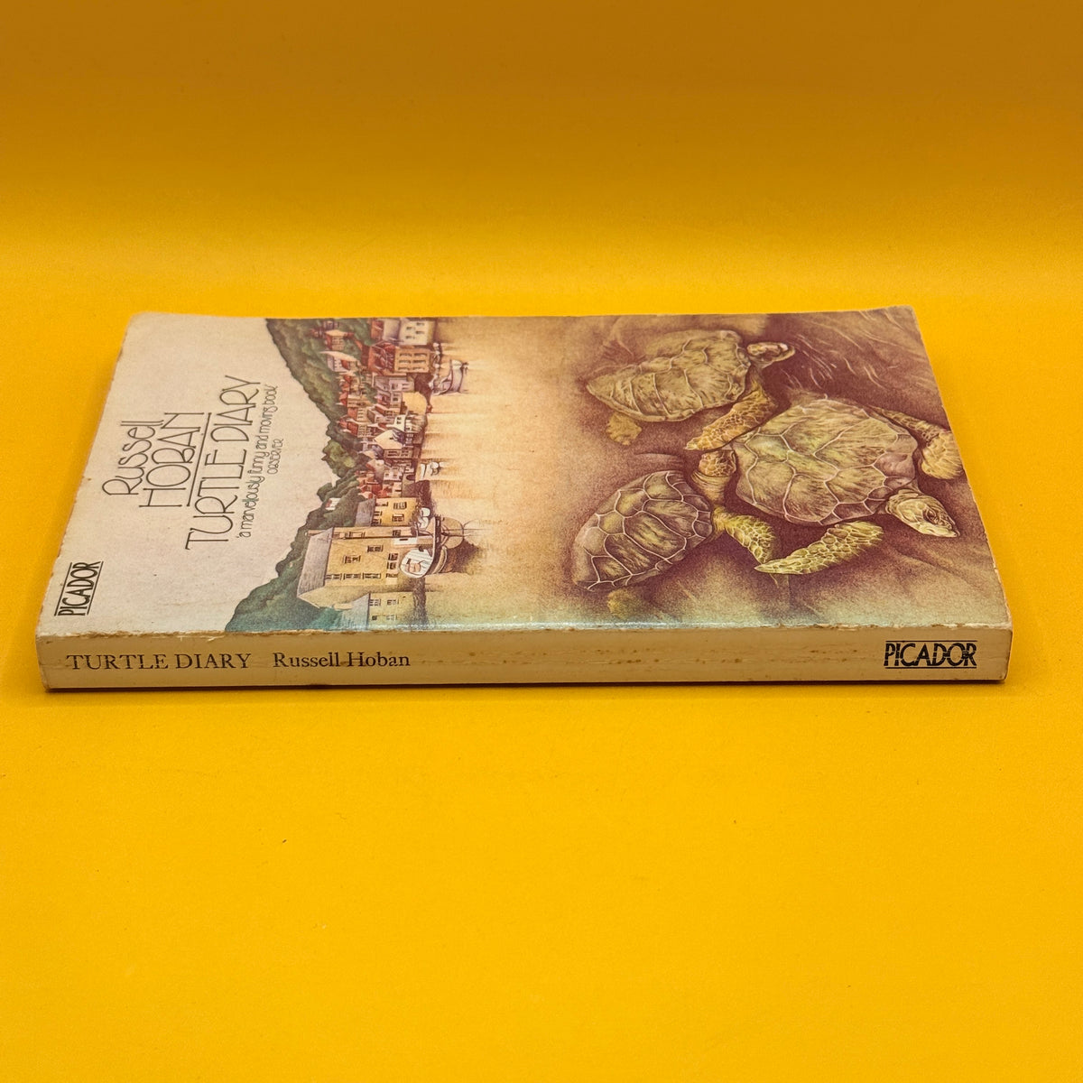 Turtle Diary by Russell Hoban (1977 Picador ed by Pan)