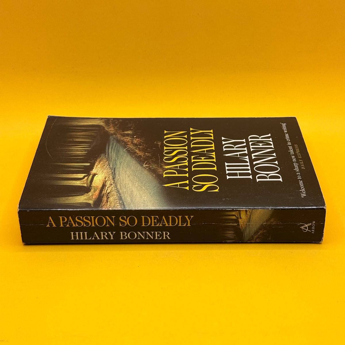 A Passion So Deadly by Hilary Bonner