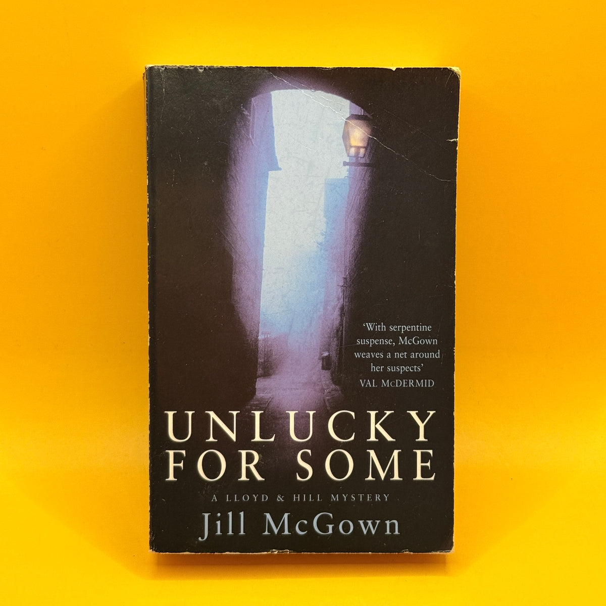 Unlucky for Some by Jill McGown