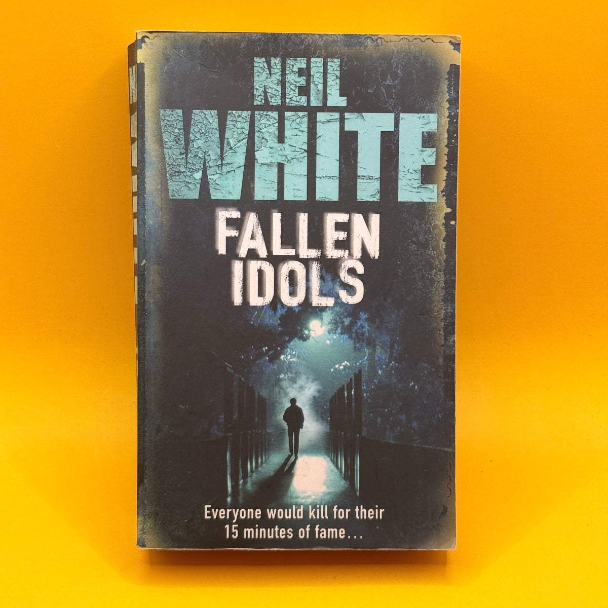 Fallen Idols by Neil White