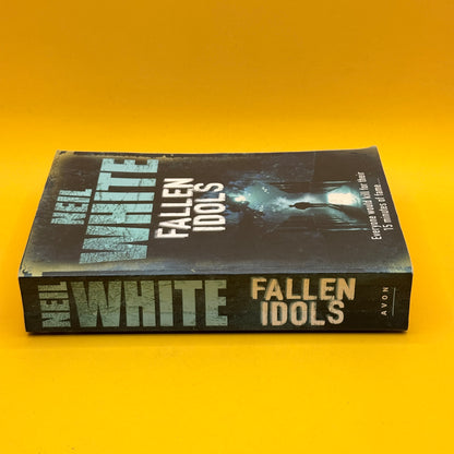 Fallen Idols by Neil White