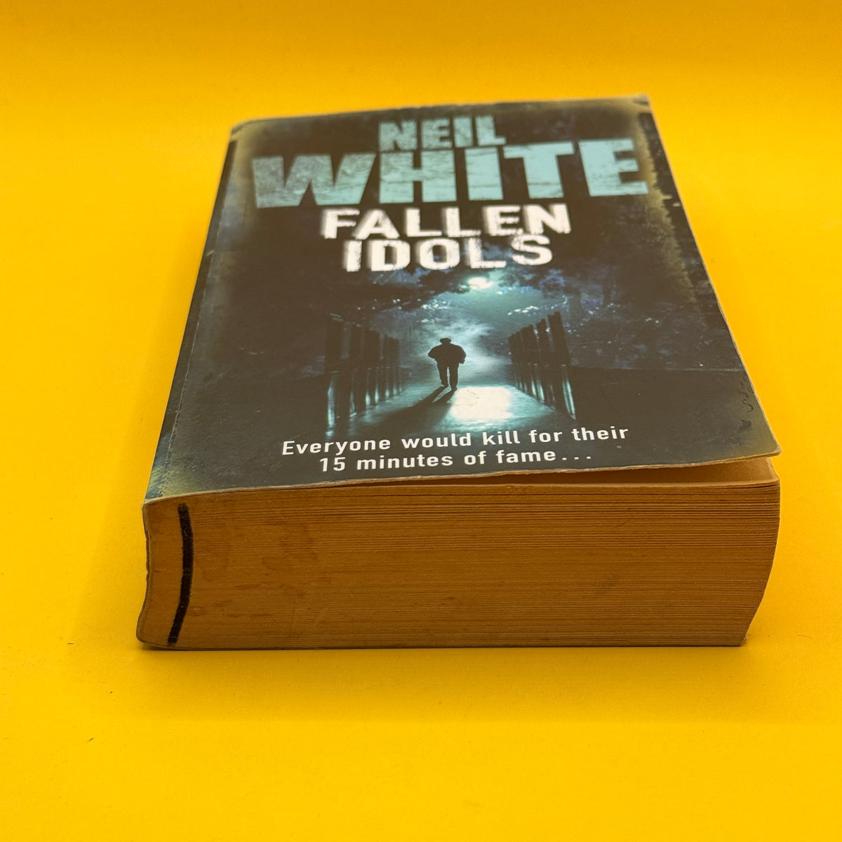 Fallen Idols by Neil White