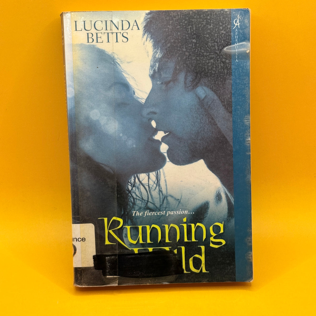 Running Wild by Lucinda Betts