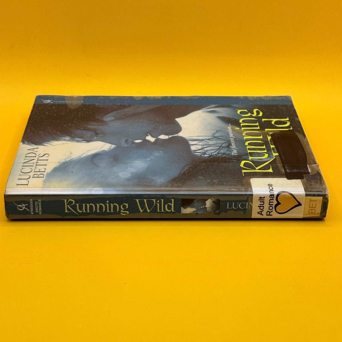 Running Wild by Lucinda Betts