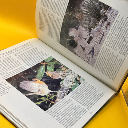 Bird Behaviour by Robert Burton