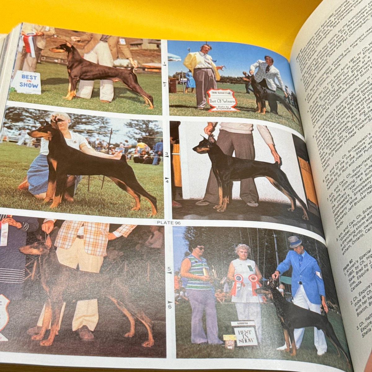 The World of Doberman Pinschers by Anna Katherine Nicholas (1986)
