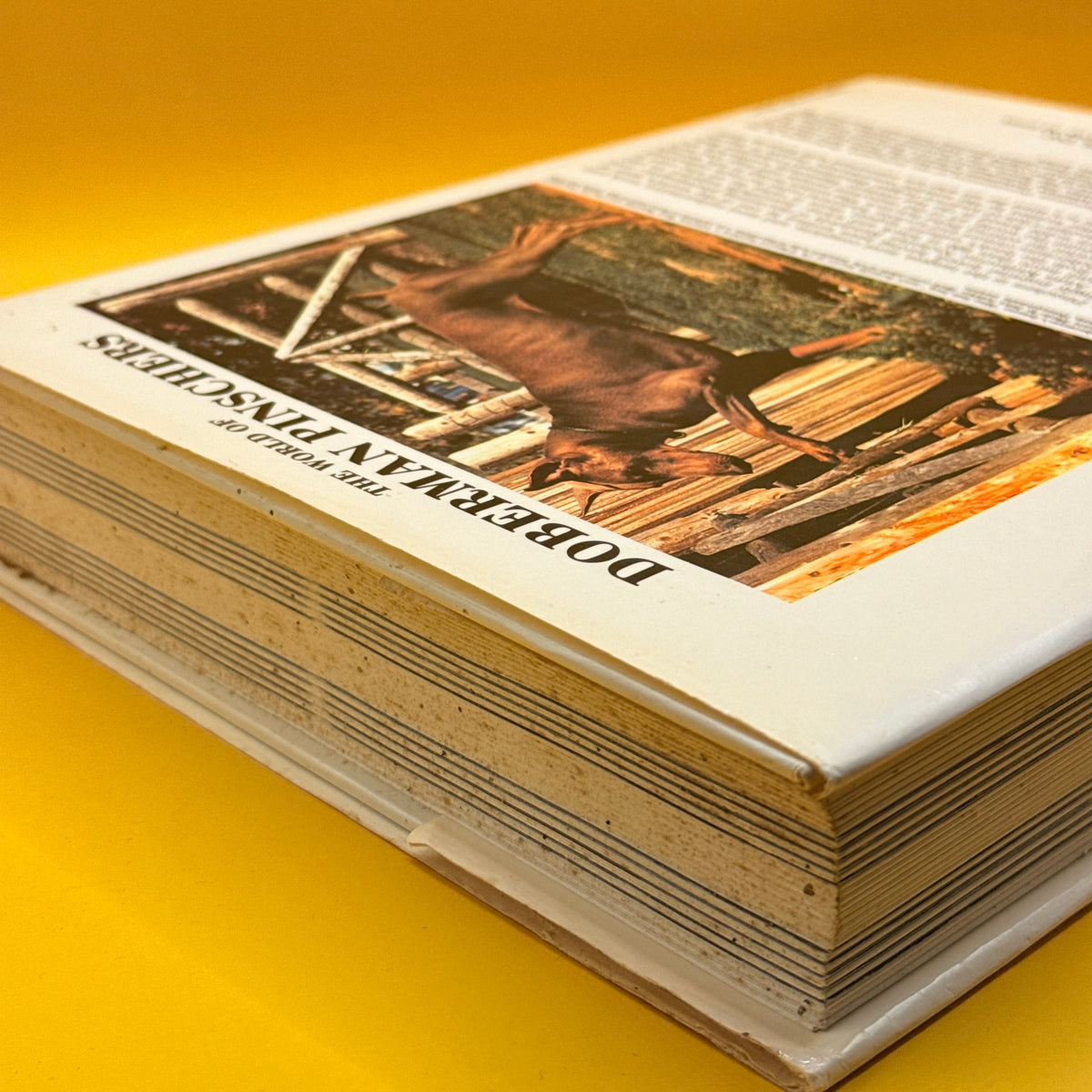 The World of Doberman Pinschers by Anna Katherine Nicholas (1986)