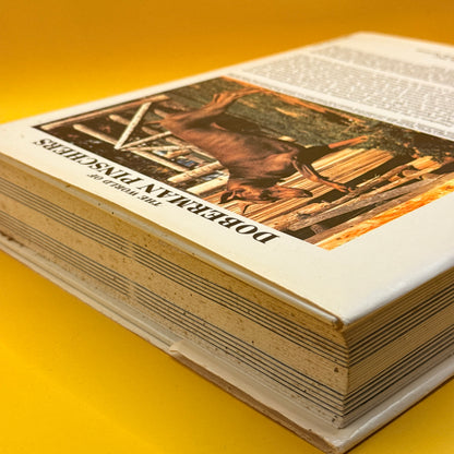 The World of Doberman Pinschers by Anna Katherine Nicholas (1986)