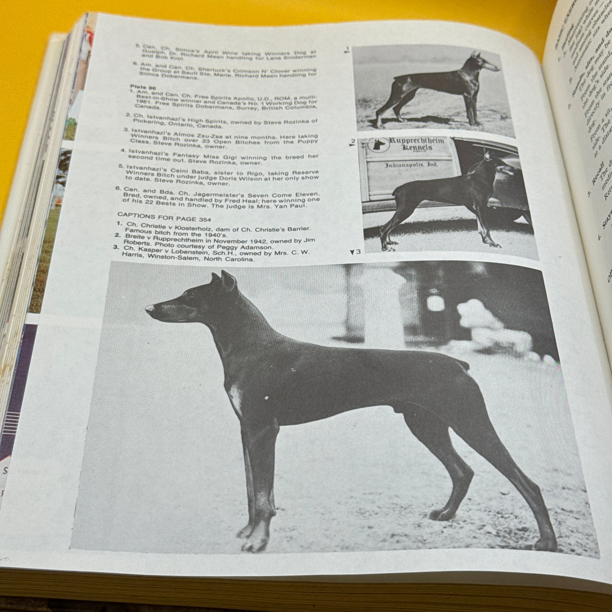 The World of Doberman Pinschers by Anna Katherine Nicholas (1986)