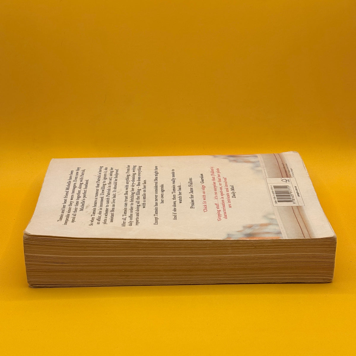 Strictly Between Us by Jane Fallon