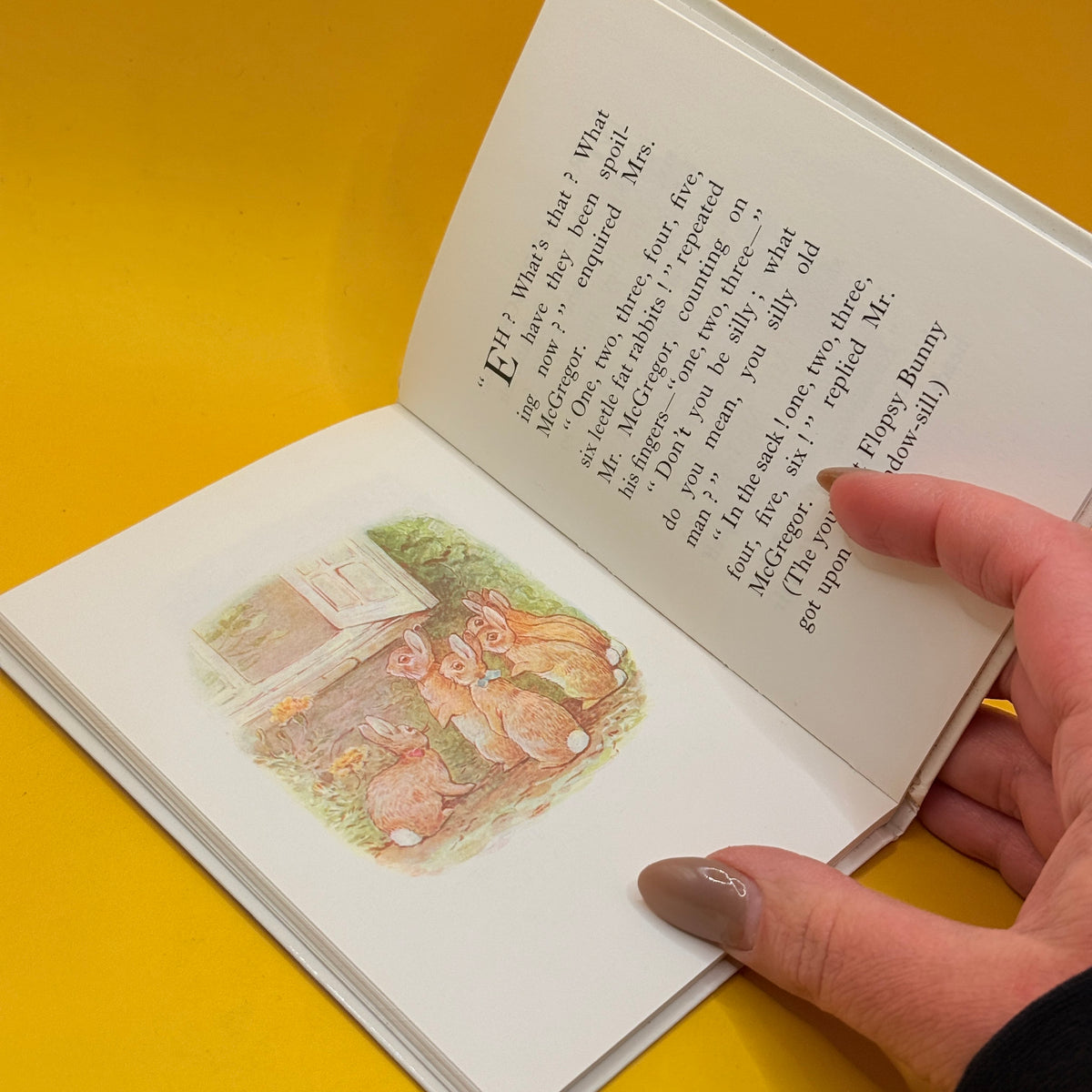The Tale of the Flopsy Bunnies by Beatrix Potter
