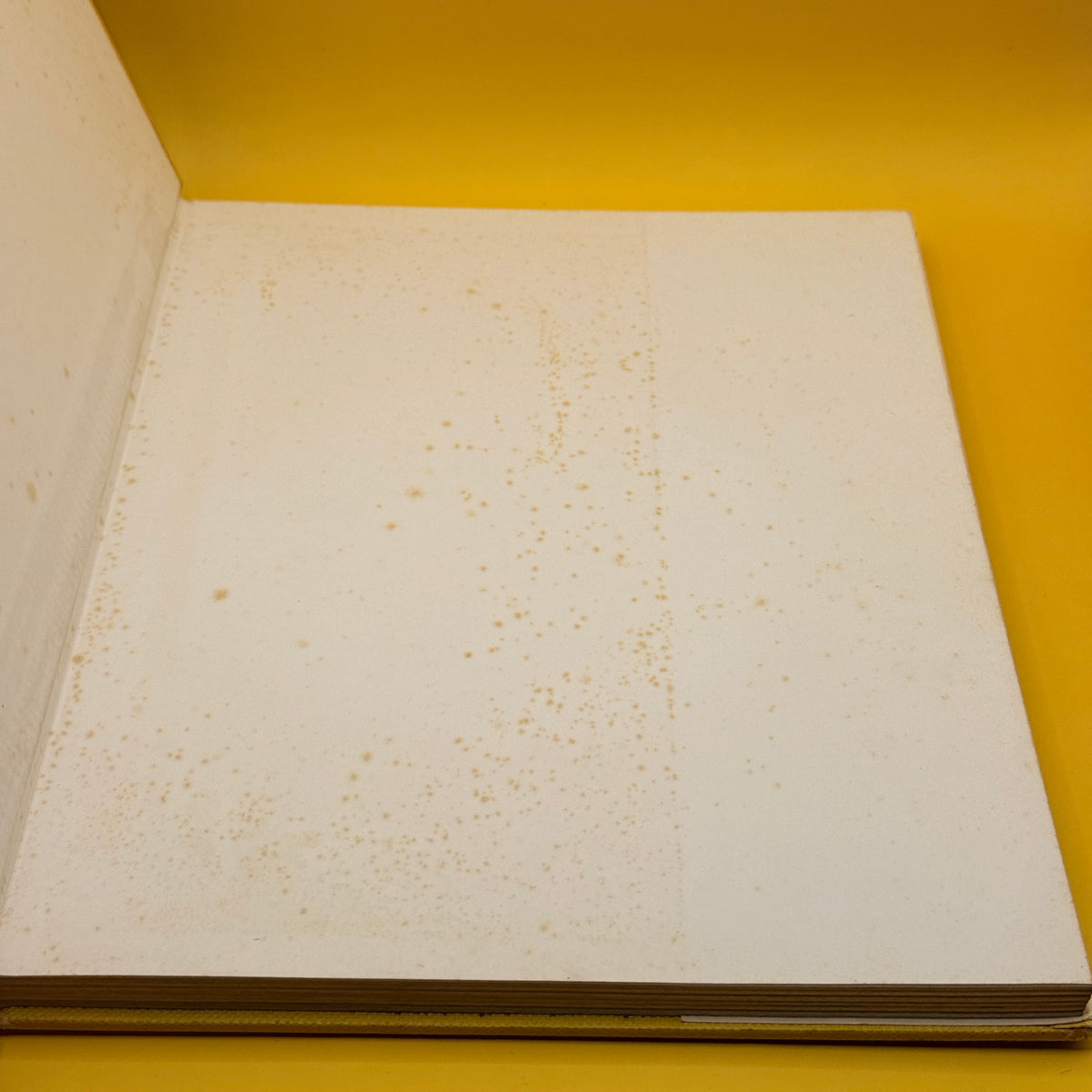 Flight by Peter Shephard (1976)