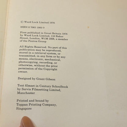 Flight by Peter Shephard (1976)