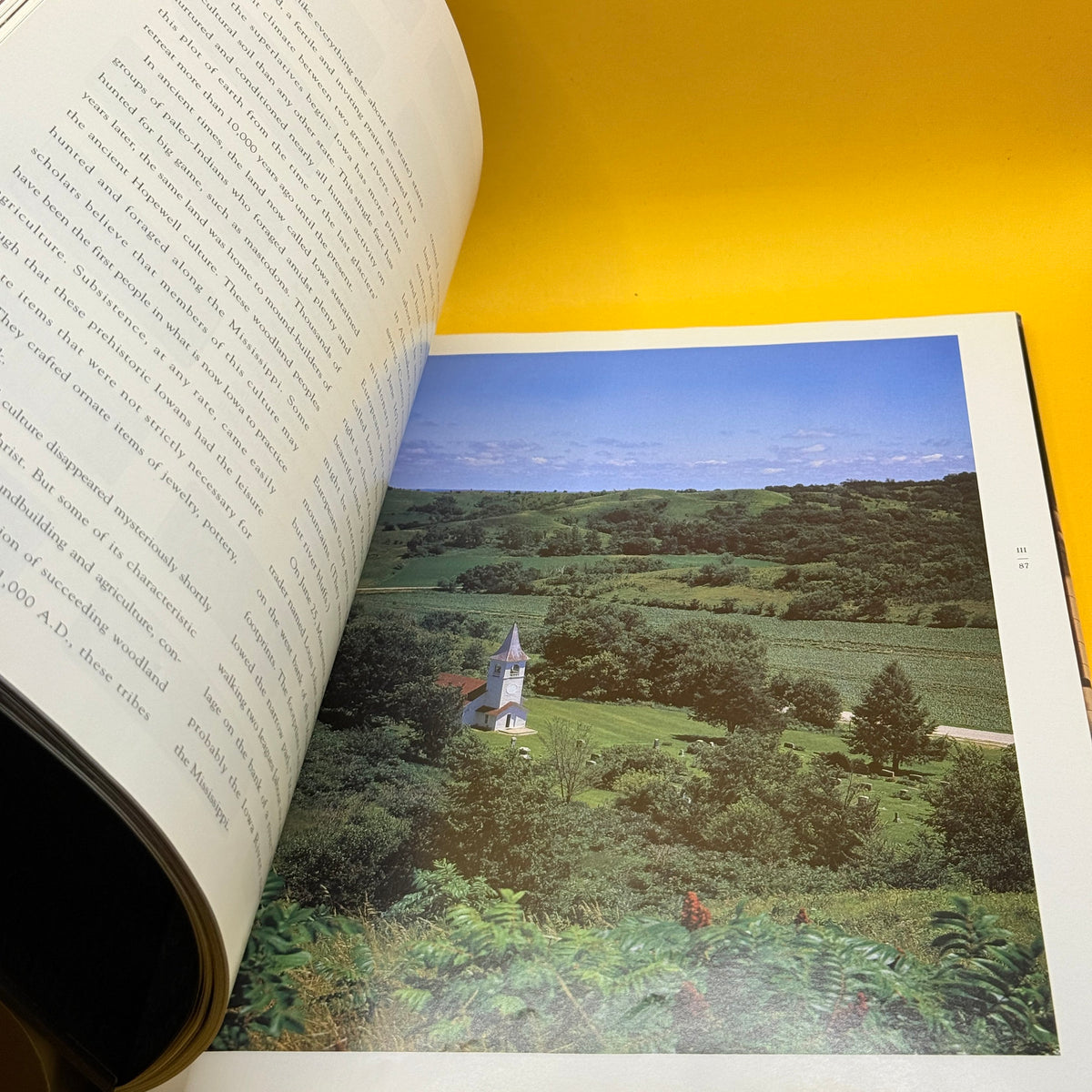 Iowa: A Celebration of Land, People & Purpose by Hugh Sidey, Cornelia F. Mutel, Mary Swander, Craig Canine and Michael Martone
