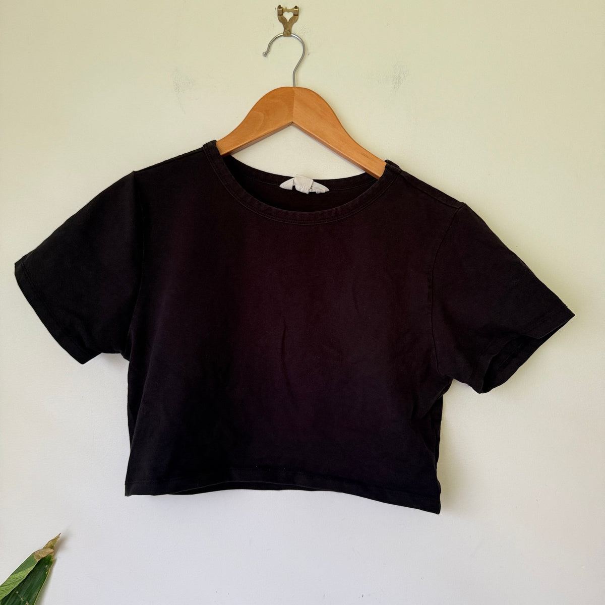 Glassons Crewneck Crop Top Size XL