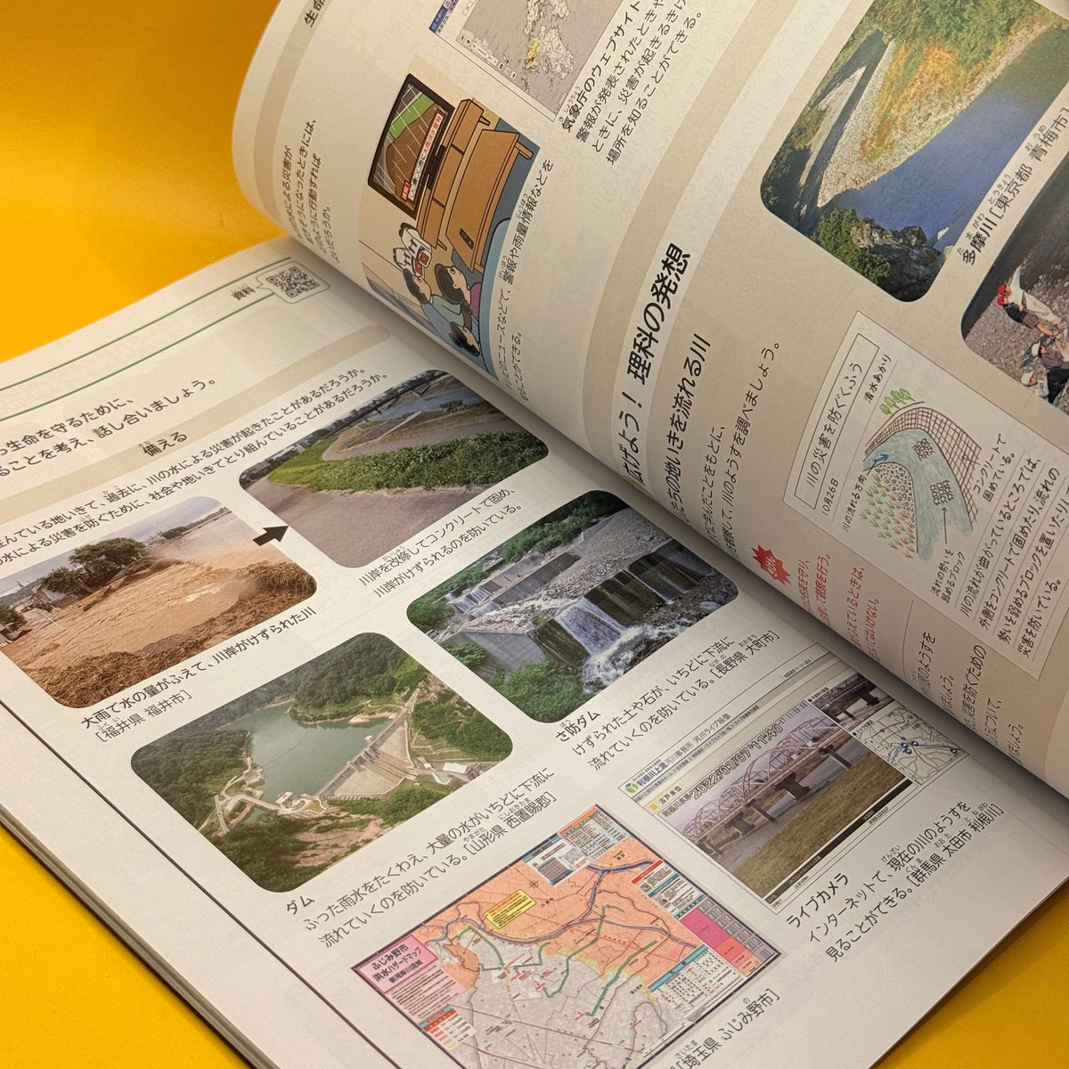 新しい理科 5 (New Science, Grade 5) by Tokyo Shoseki (Japanese)