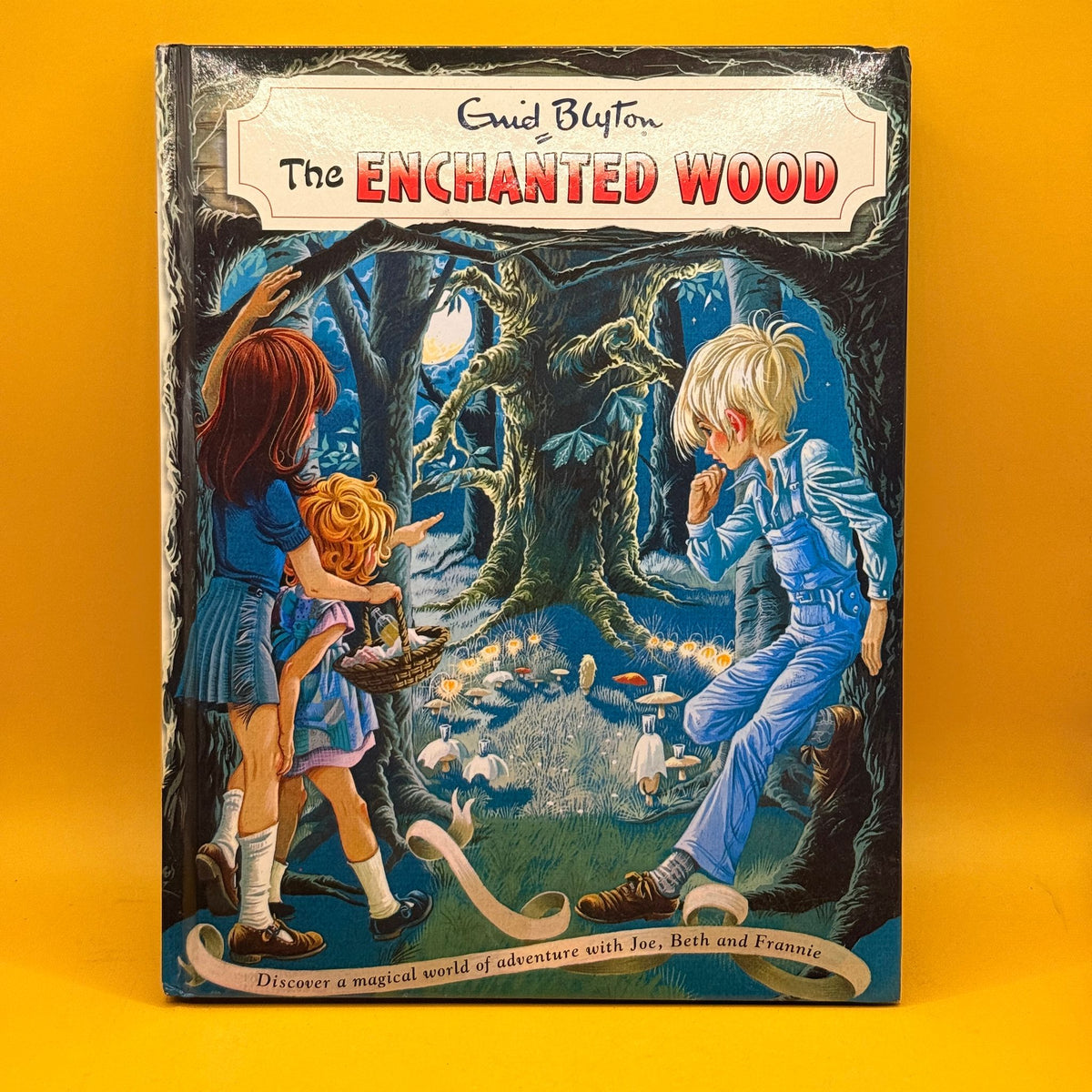 The Enchanted Wood by Enid Blyton