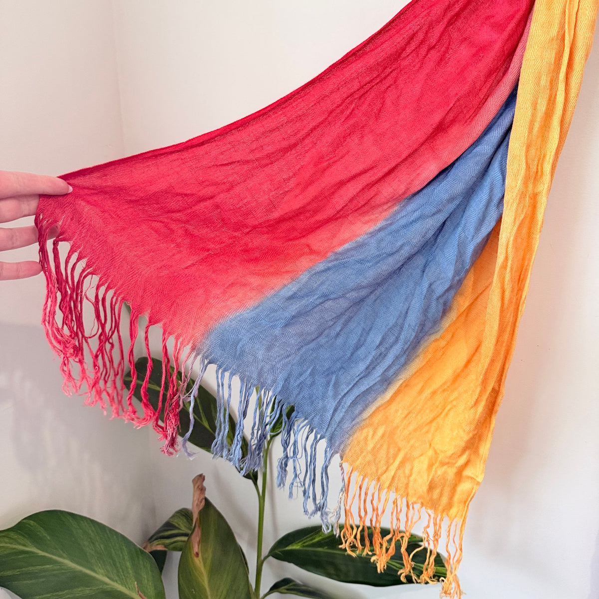 Multi-color Ombré Scarf