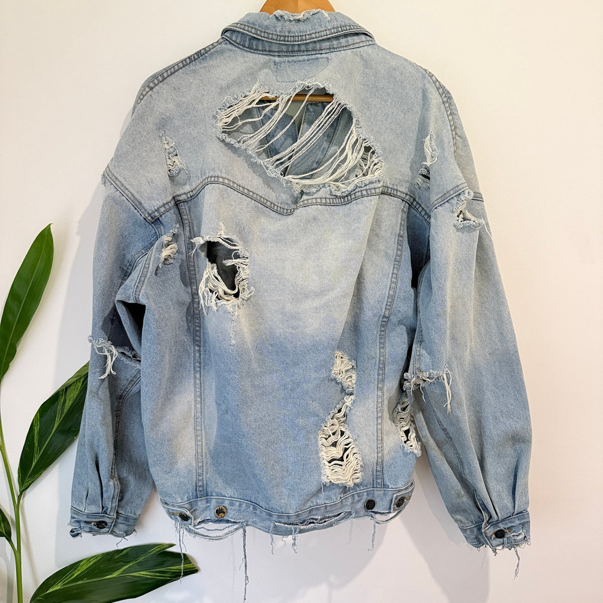 Sampson & Taylor Light Wash Distressed Oversized Denim Jacket Size M (marked)