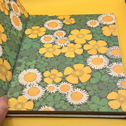 Dimple: The Adventures of a Little Donkey by Kathleen O’Farrell 1969