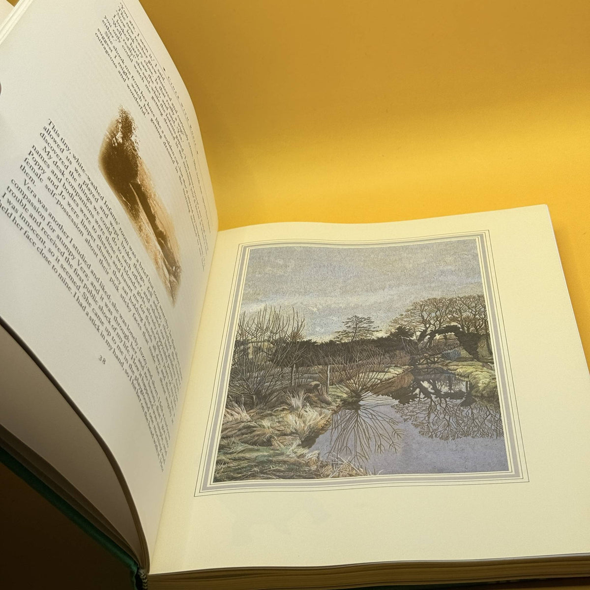 The Illustrated Cider with Rosie by Laurie Lee