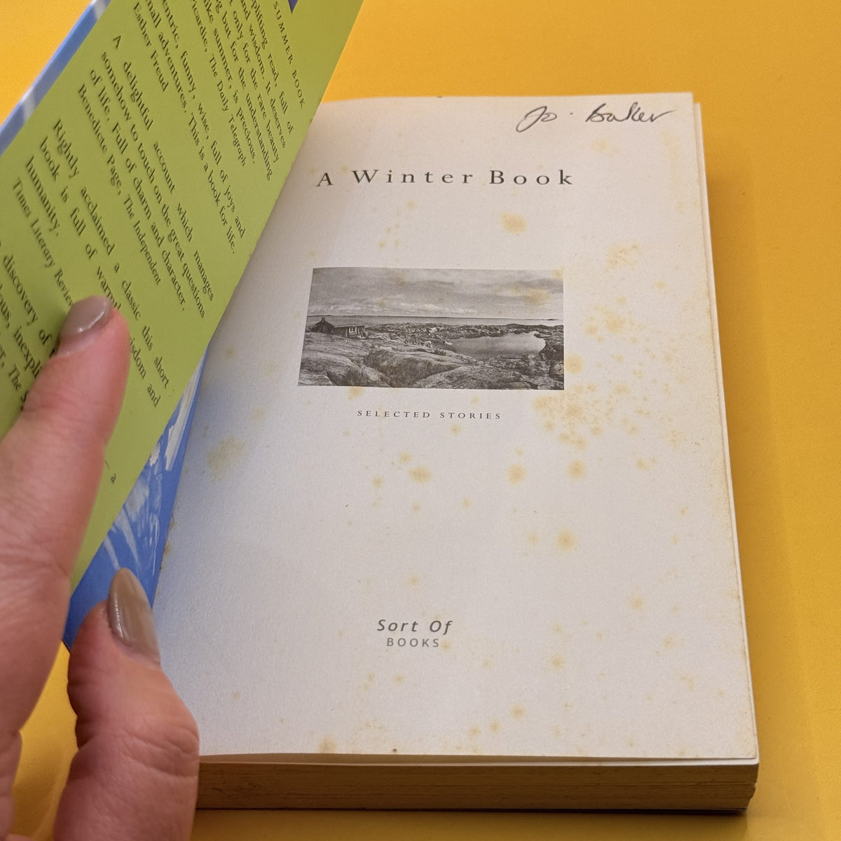 A Winter Book: Selected Stories by Tove Jansson