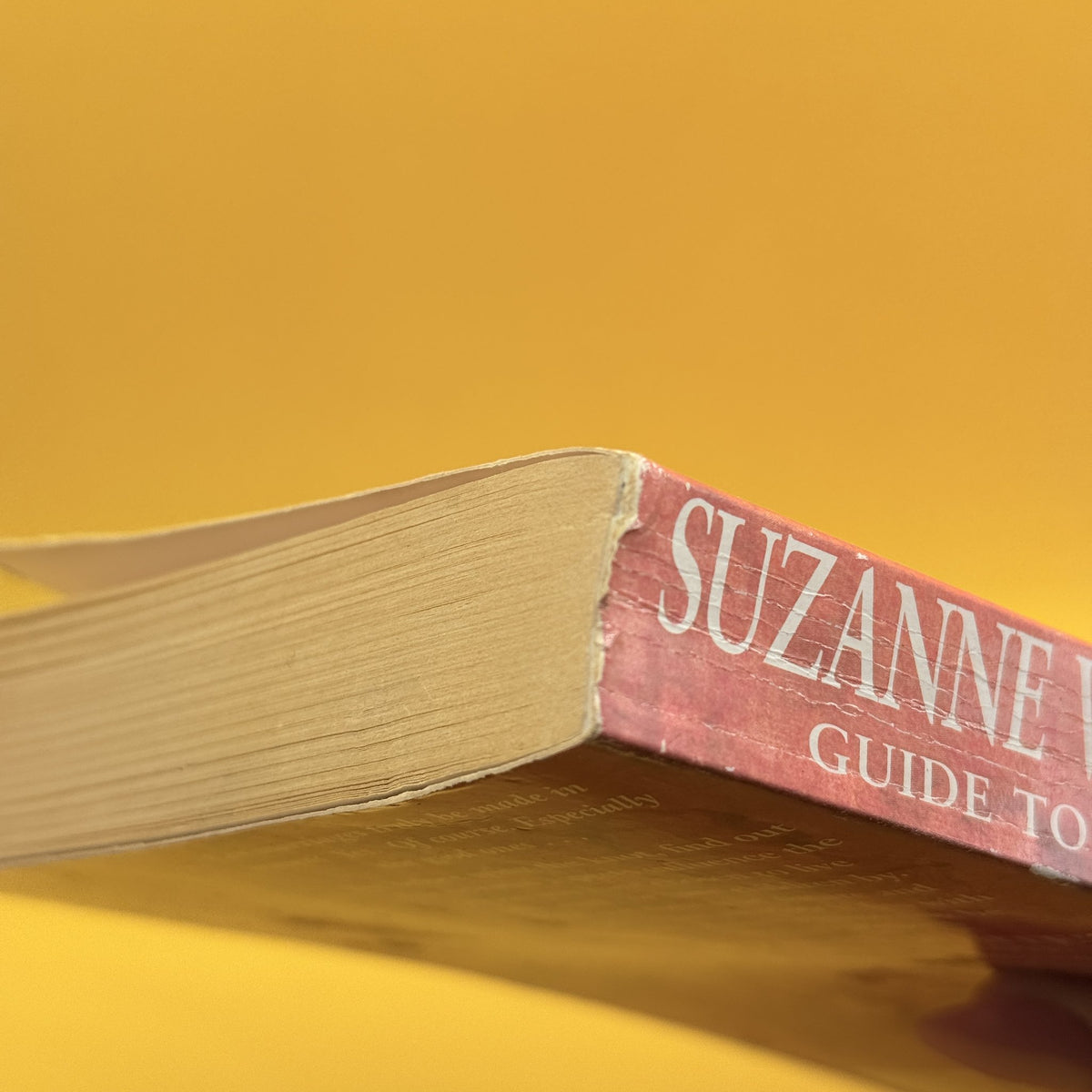 Suzanne White’s Guide to Love by Suzanne White