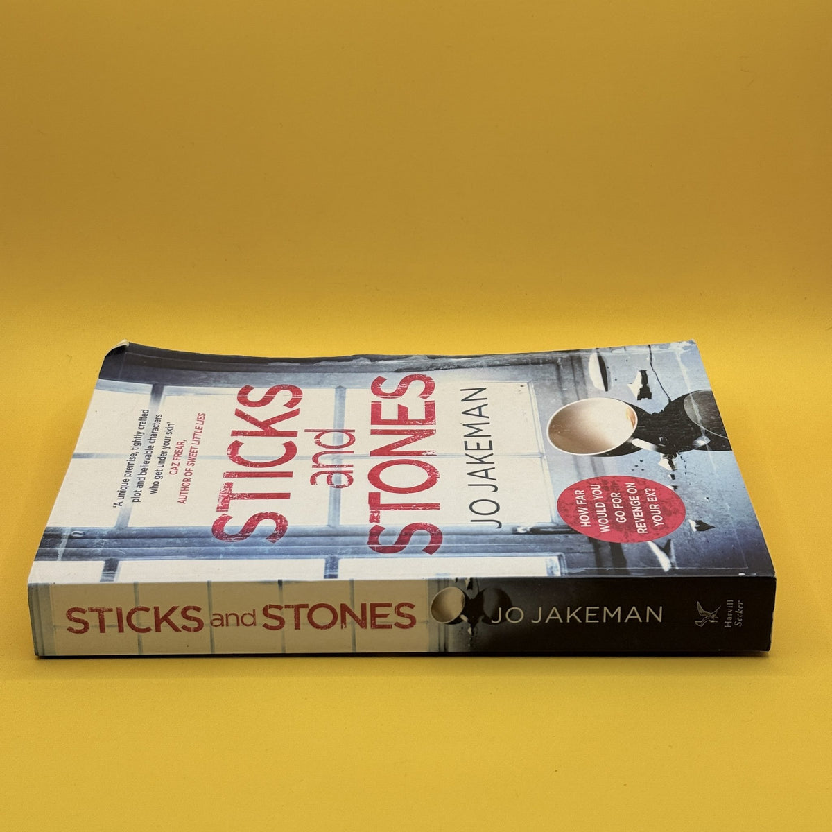 Sticks and Stones by Jo Jakeman