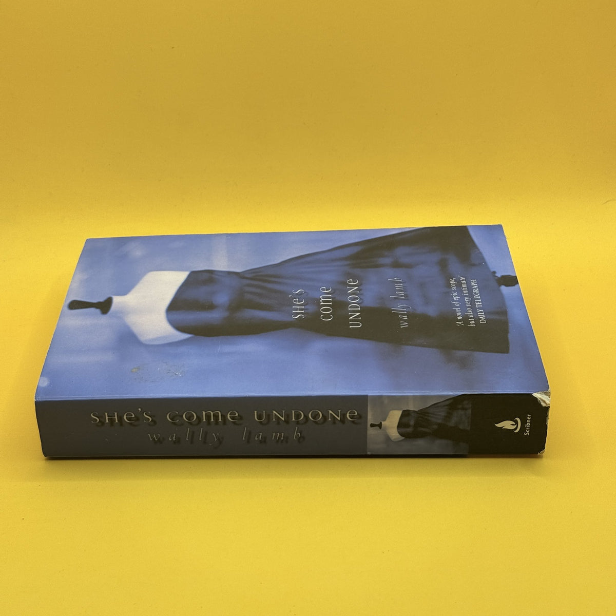 She’s Come Undone by Wally Lamb