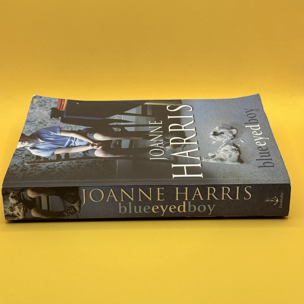Blueeyedboy by Joanne Harris