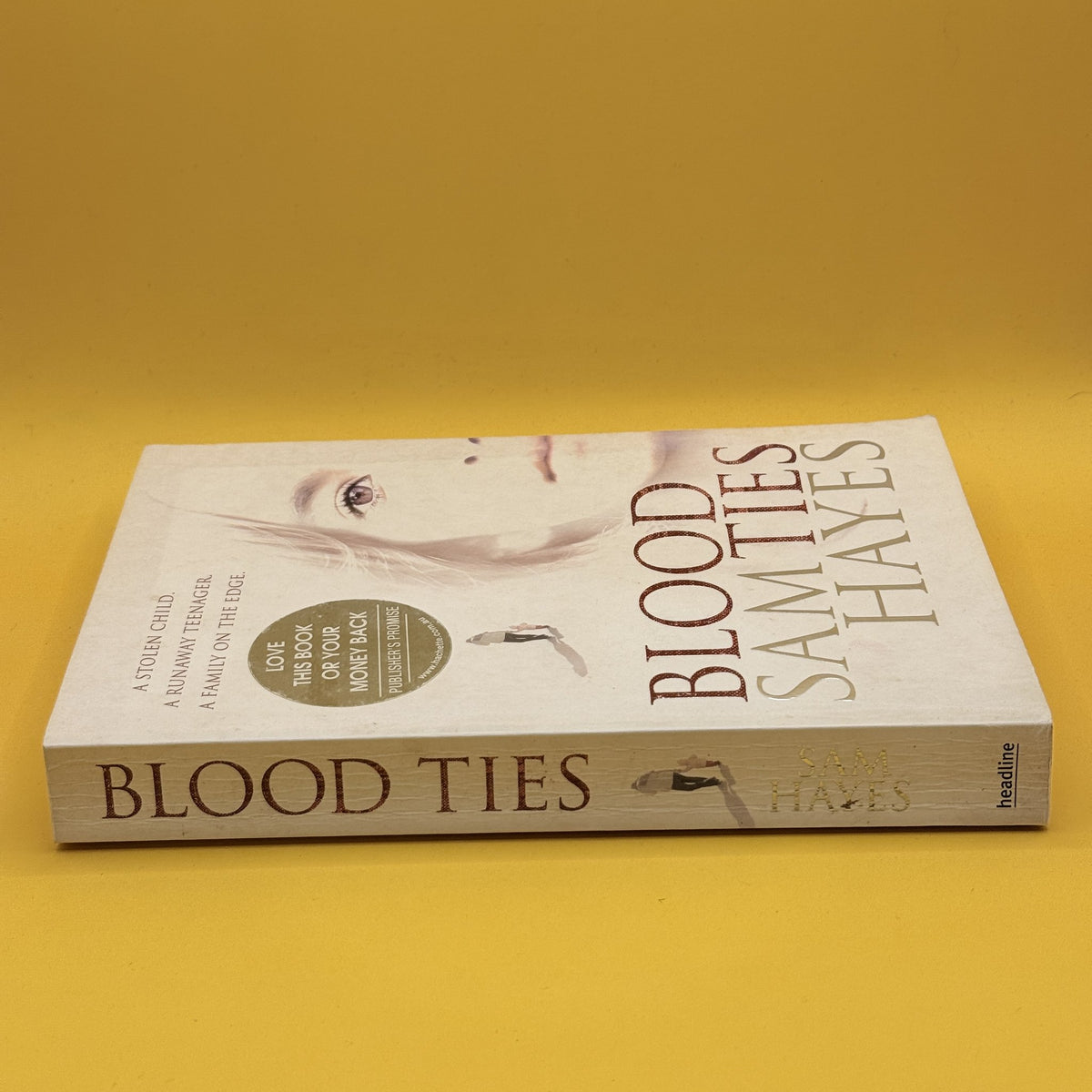 Blood Ties by Sam Hayes