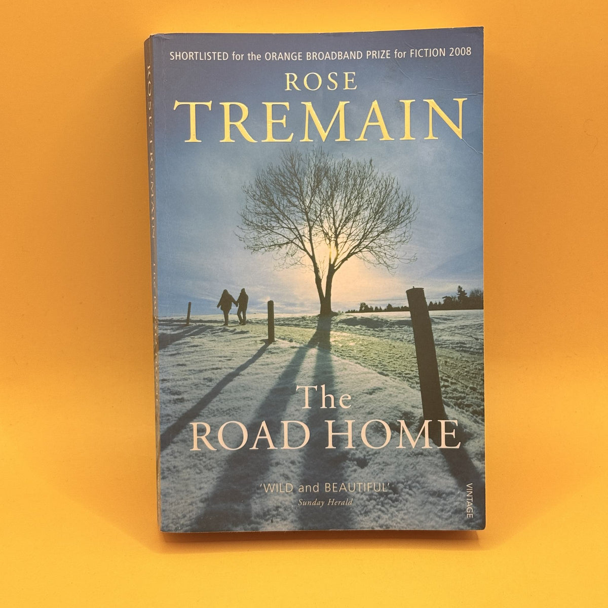 The Road Home by Rose Tremain