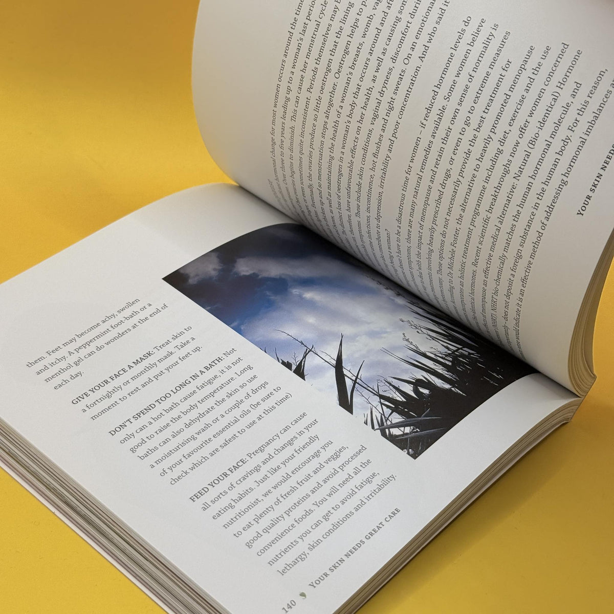 About Face by Kim Morrison and Fleur Whelligan