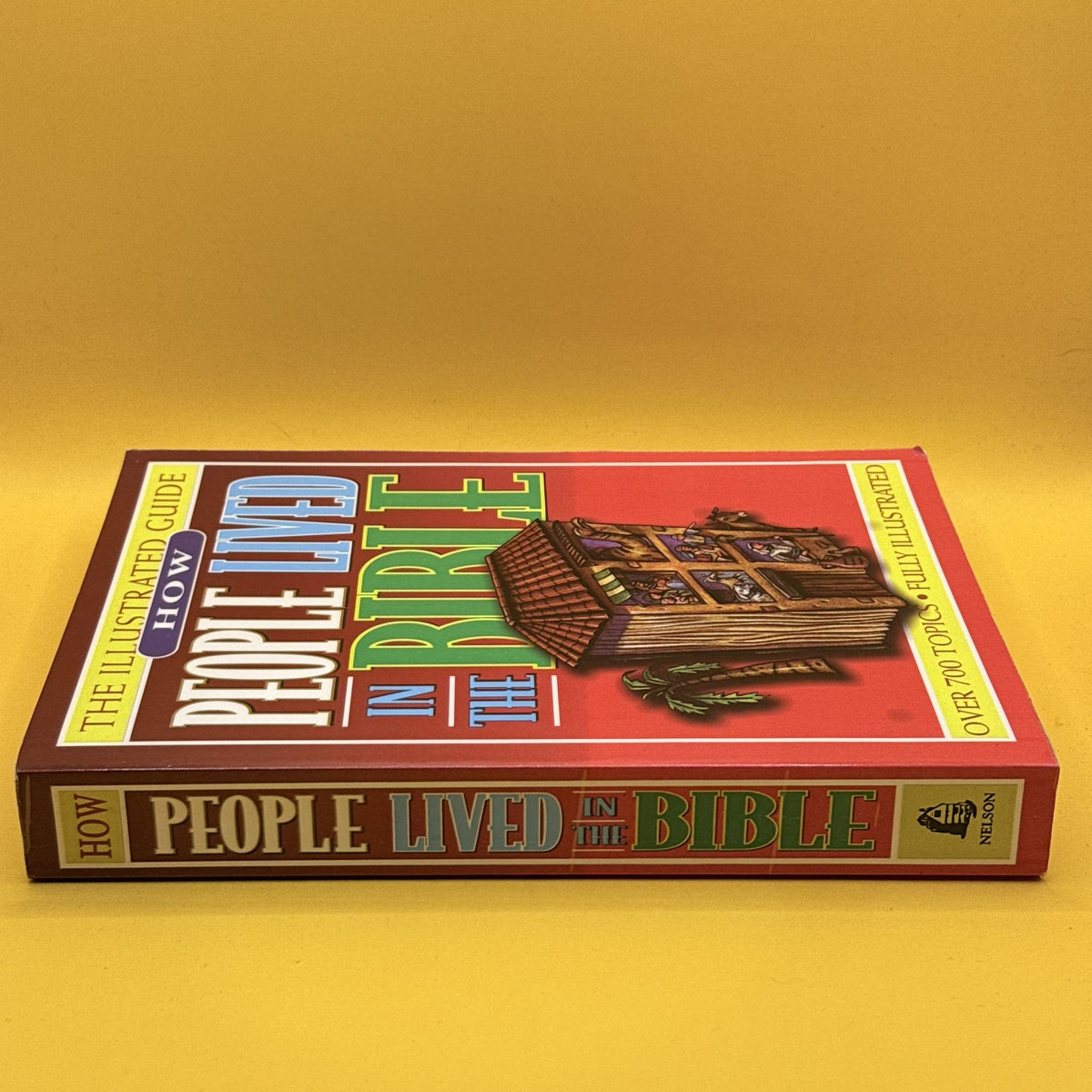 How People Lived in the Bible: The Illustrated Guide by Thomas Nelson