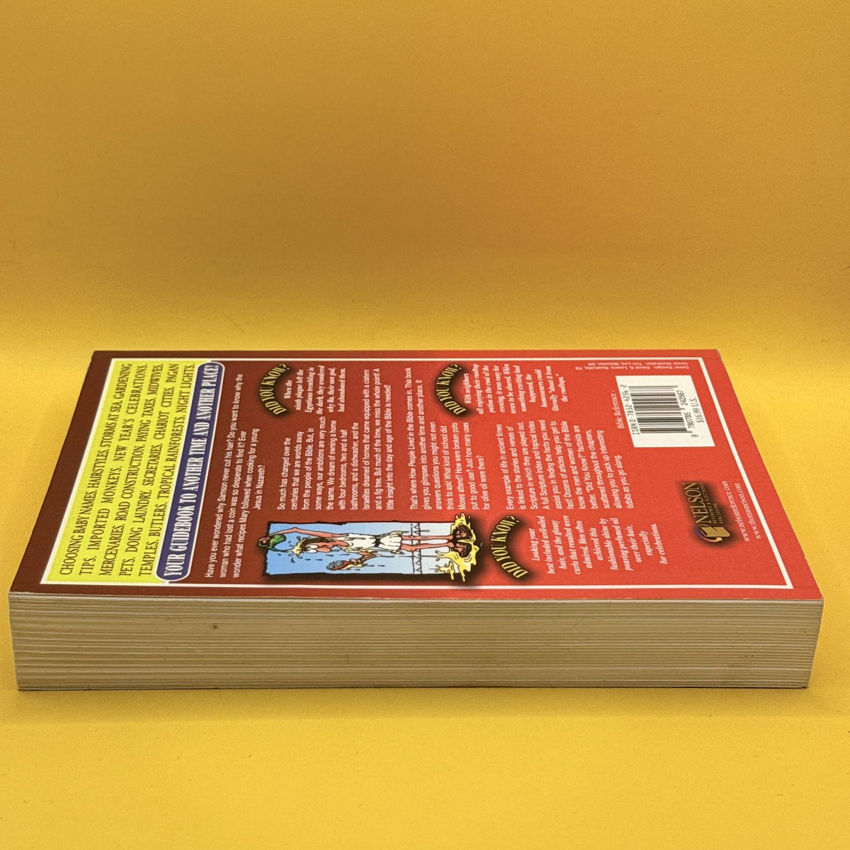 How People Lived in the Bible: The Illustrated Guide by Thomas Nelson
