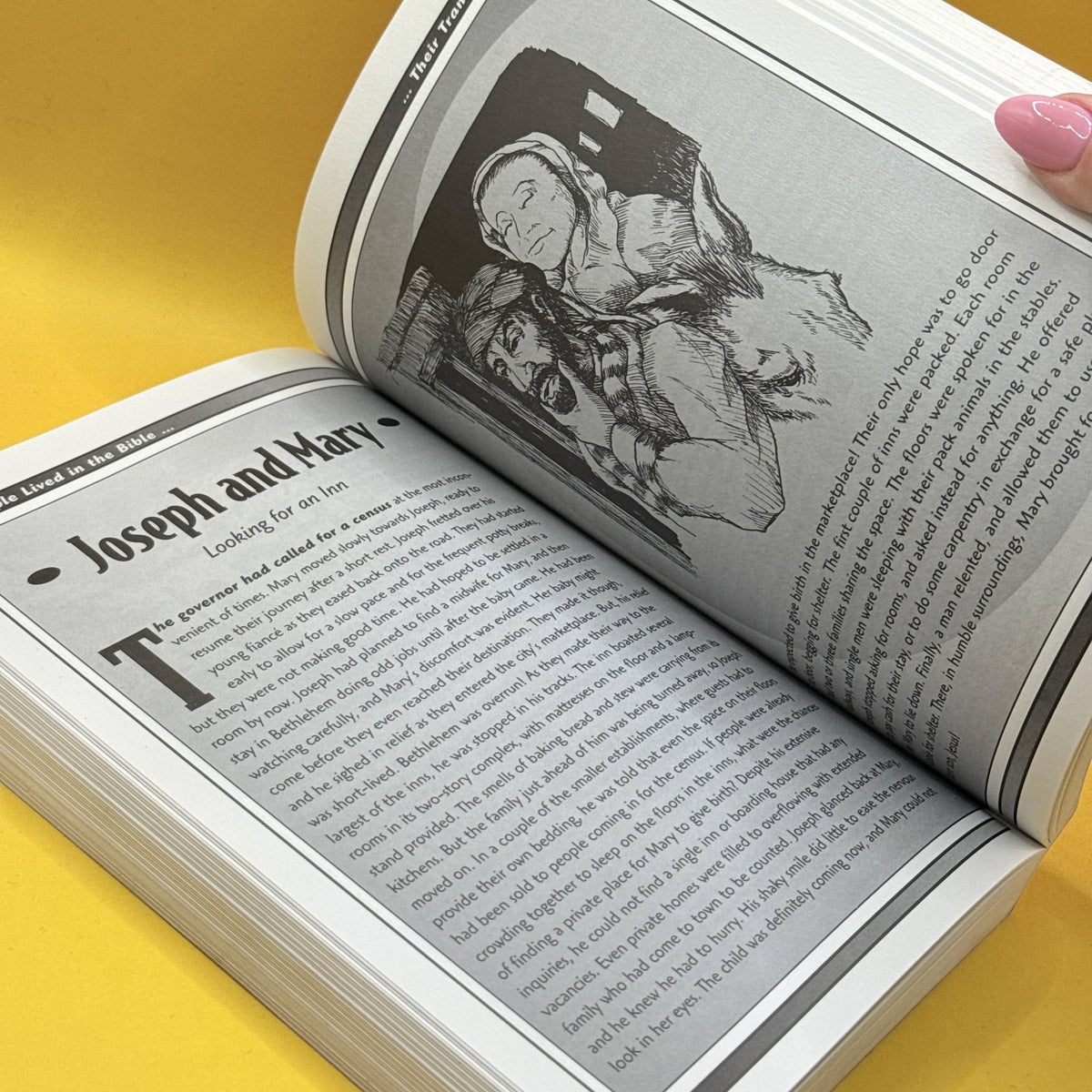 How People Lived in the Bible: The Illustrated Guide by Thomas Nelson