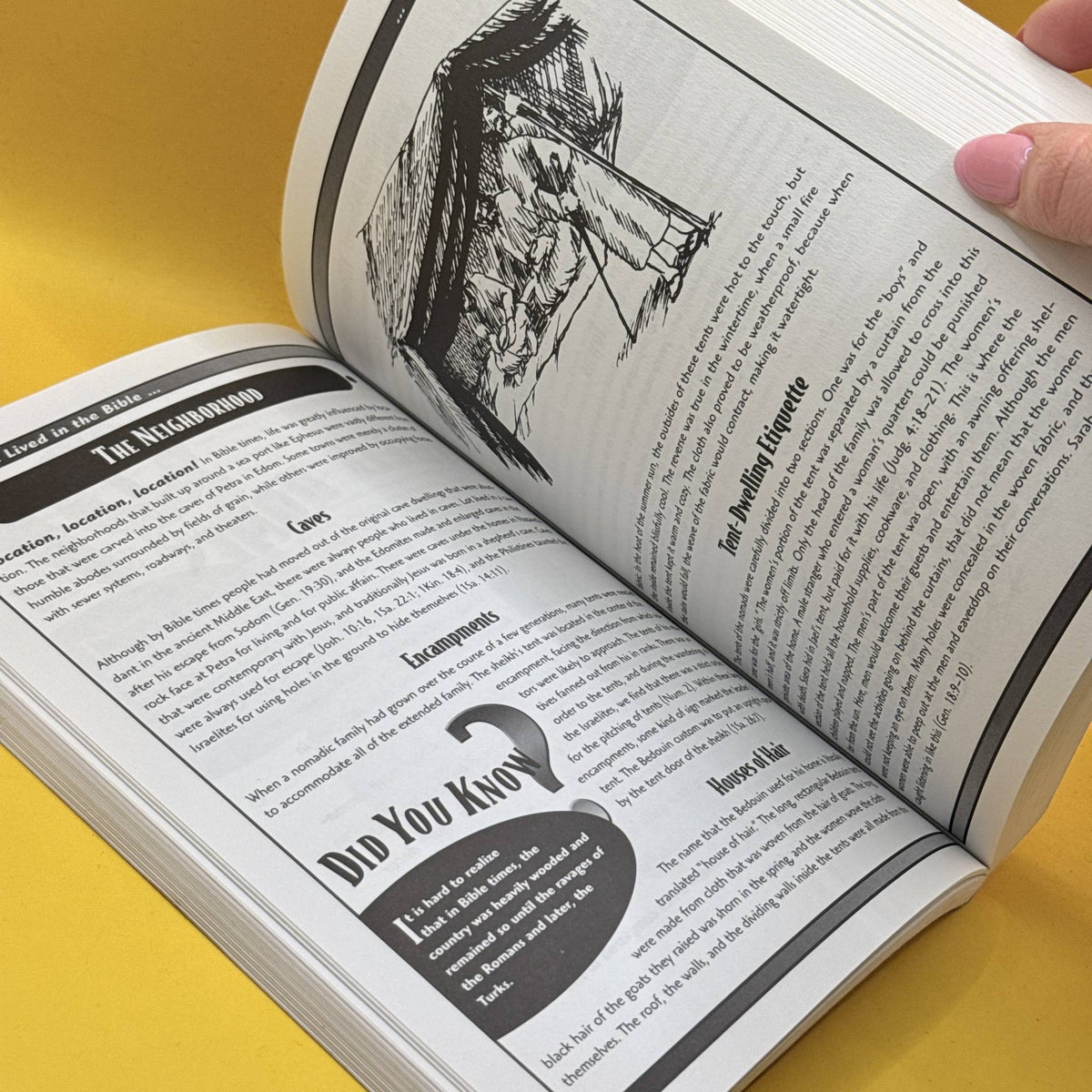 How People Lived in the Bible: The Illustrated Guide by Thomas Nelson