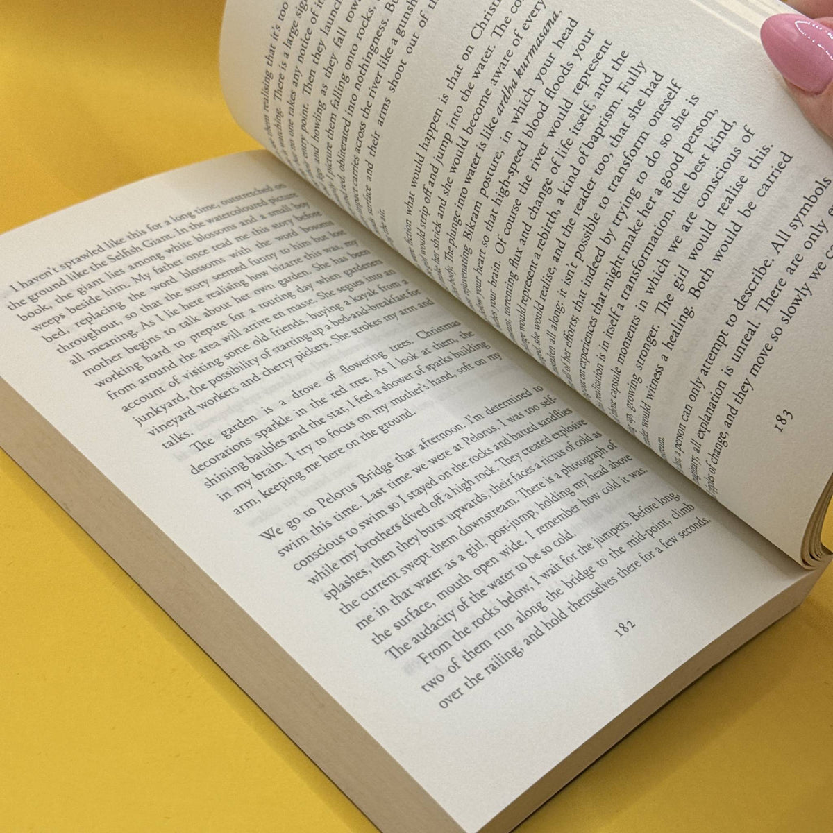 Can You Tolerate This? Personal Essays by Ashleigh Young