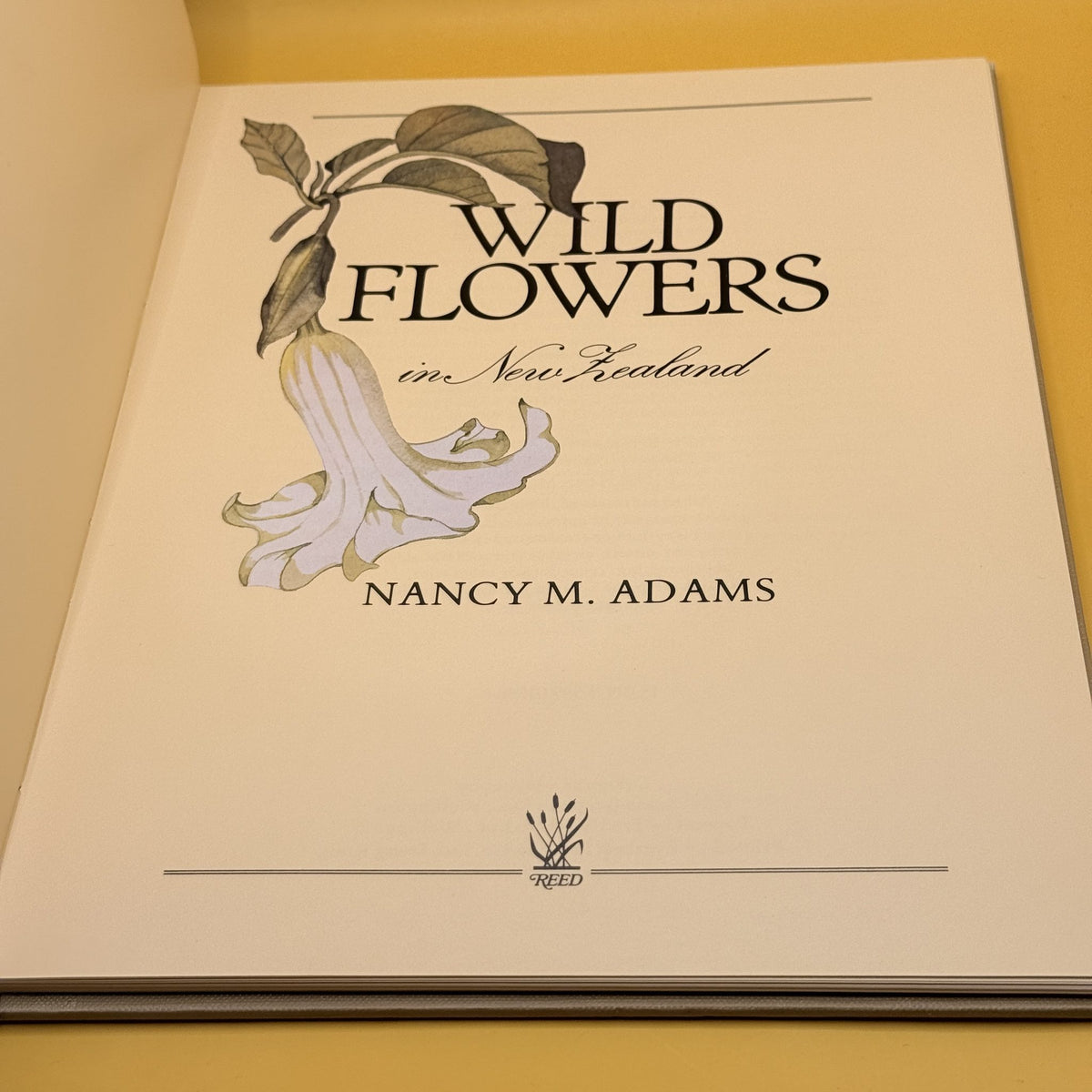 Wild Flowers in New Zealand by Nancy M. Adams 1980