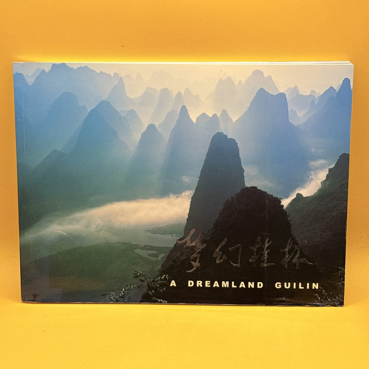 A Dreamland Guilin by Zhang Liping
