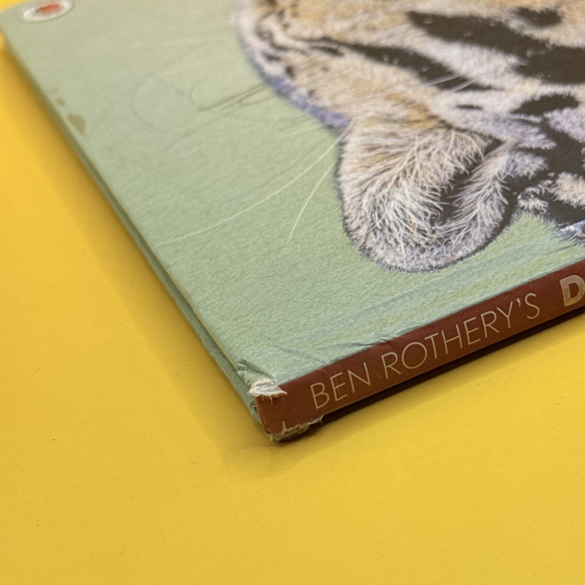 Deadly and Dangerous Animals by Ben Rothery