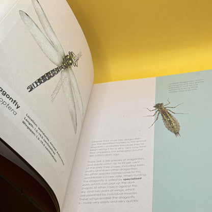 Deadly and Dangerous Animals by Ben Rothery