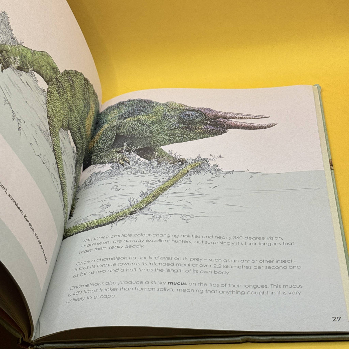 Deadly and Dangerous Animals by Ben Rothery