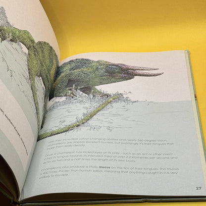 Deadly and Dangerous Animals by Ben Rothery