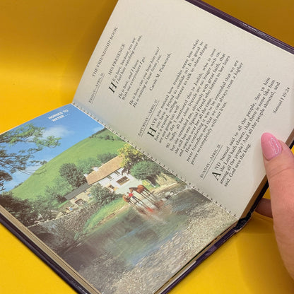 The Friendship Book 1996 by Francis Gay