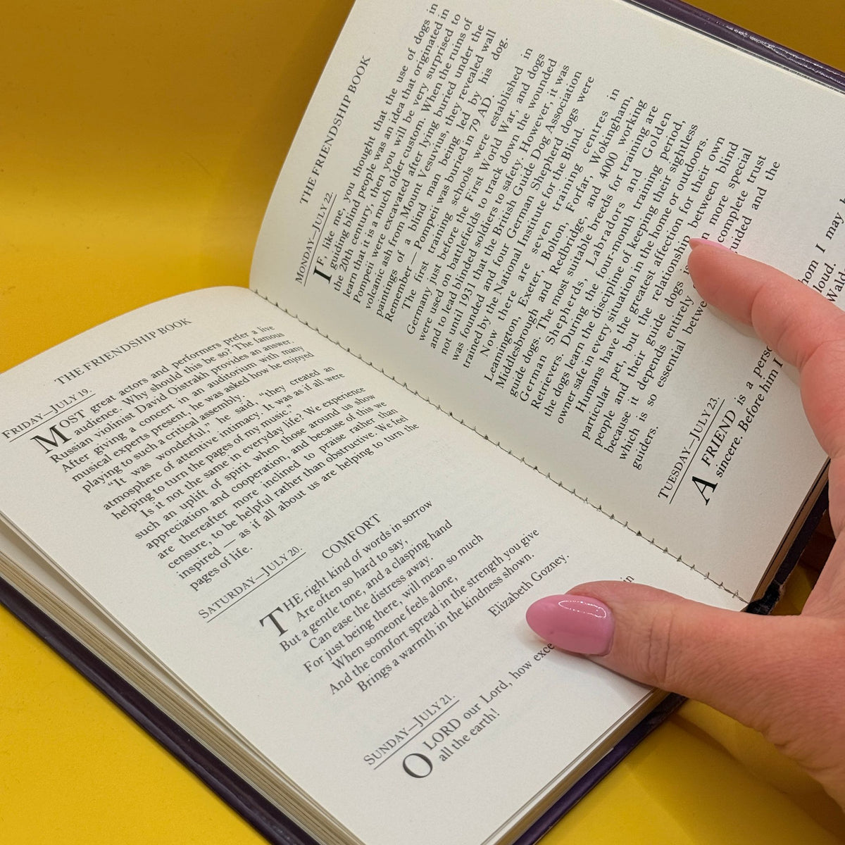 The Friendship Book 1996 by Francis Gay