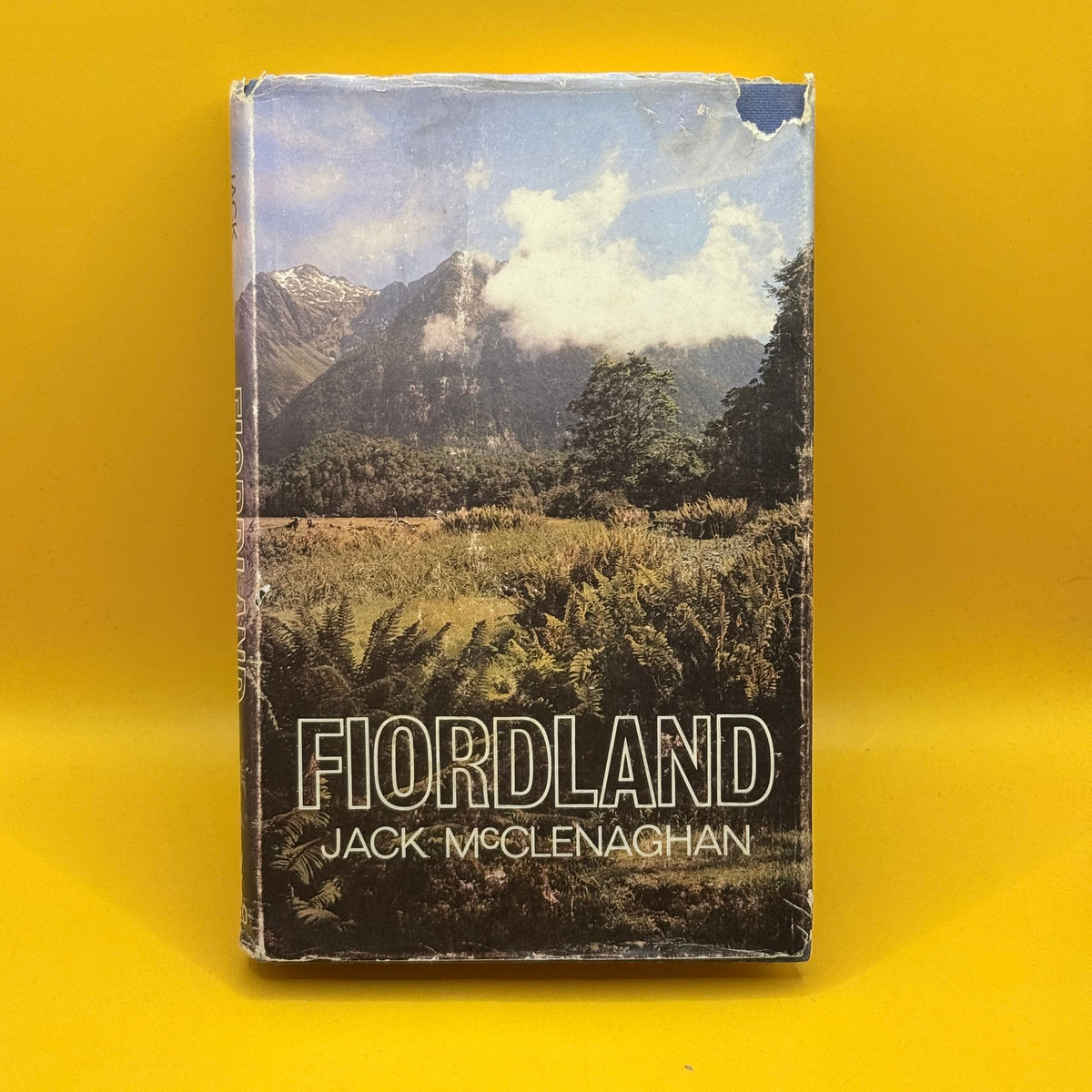 Fiordland by Jack McClenaghan